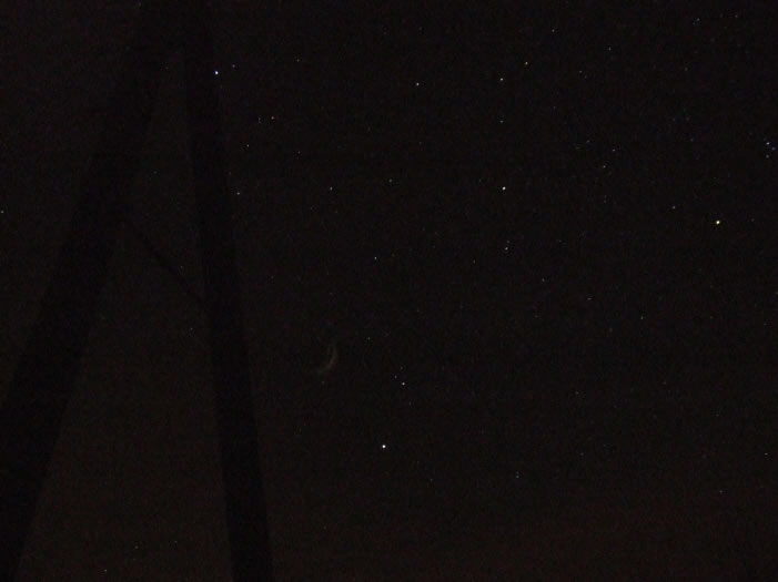 Leonid 6